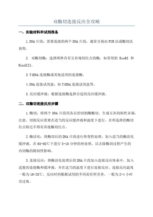 双酶切连接反应全攻略