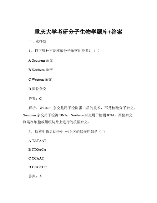 重庆大学考研分子生物学题库+答案