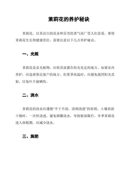 茉莉花的养护秘诀