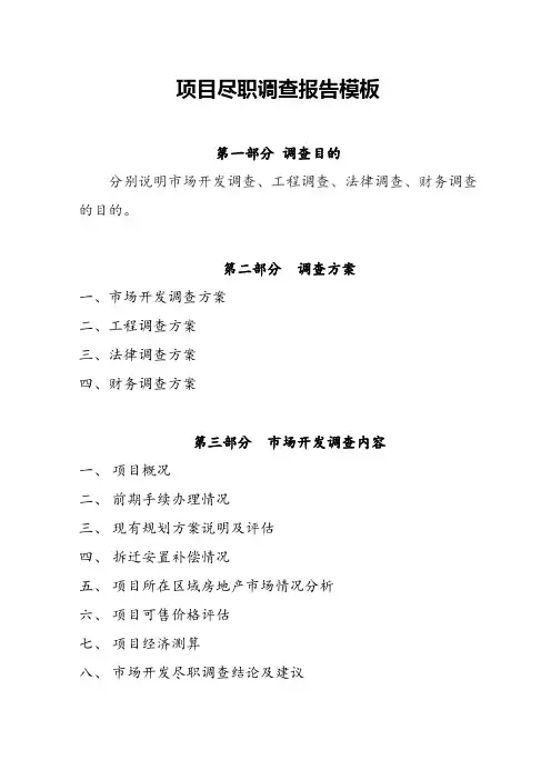 项目尽职调查报告