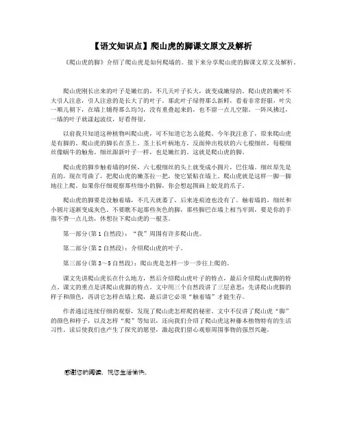 【语文知识点】爬山虎的脚课文原文及解析