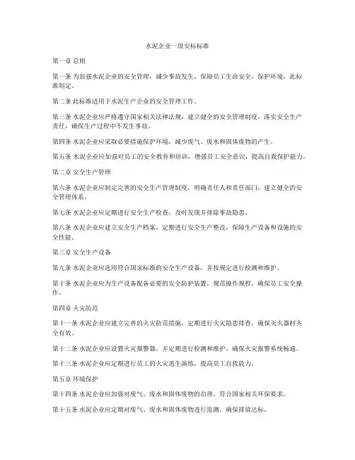 水泥企业一级安标标准