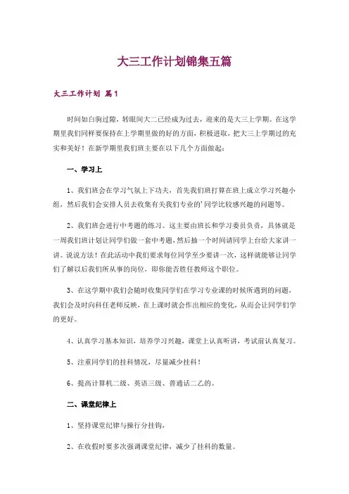 大三工作计划锦集五篇