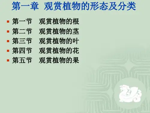 观赏动植物学_观赏植物基础知识