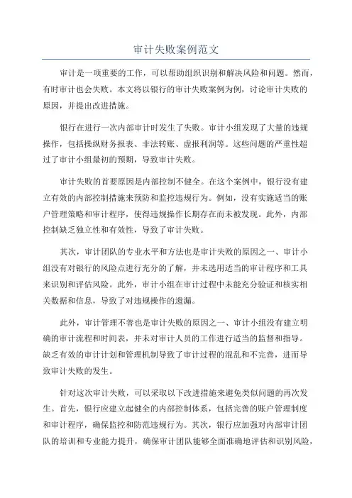 审计失败案例范文