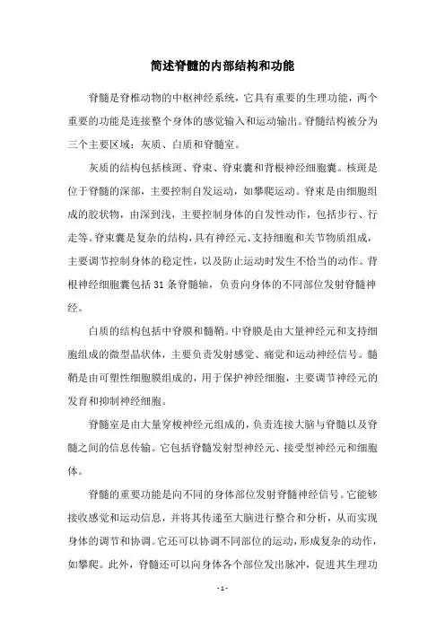 简述脊髓的内部结构和功能