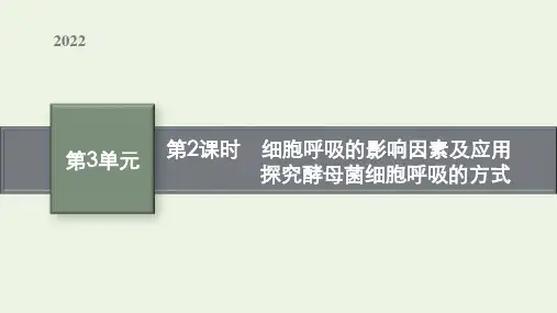2022高考生物一轮复习第8讲第2课时细胞呼吸的影响因素及应用探究酵母菌细胞呼吸的方式课件新人教版