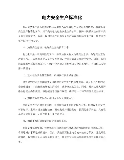 电力安全生产标准化