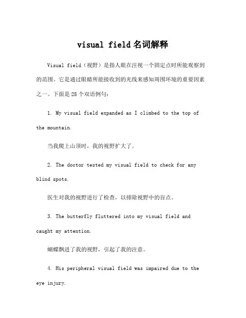 visual field名词解释