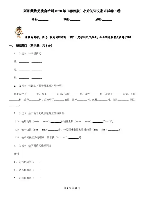 阿坝藏族羌族自治州2020年(春秋版)小升初语文期末试卷C卷