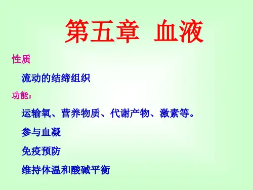 第5章血液y