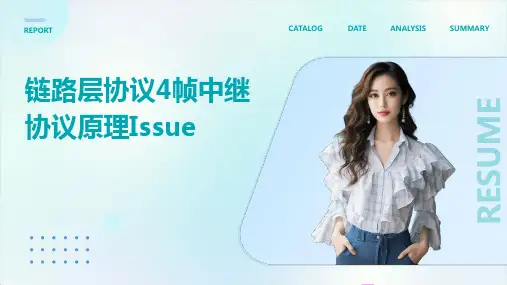 链路层协议4帧中继协议原理ISSUE