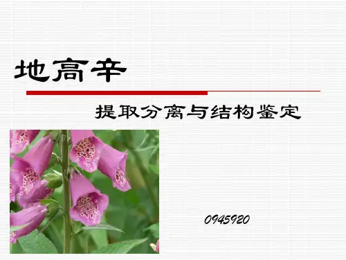 地高辛的提取分离与结构鉴定