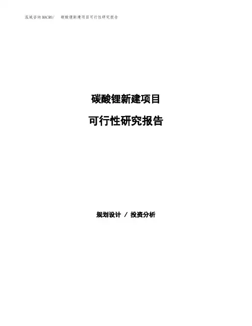 碳酸锂新建项目可行性研究报告模板及范文