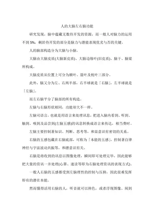 人的大脑左右脑功能