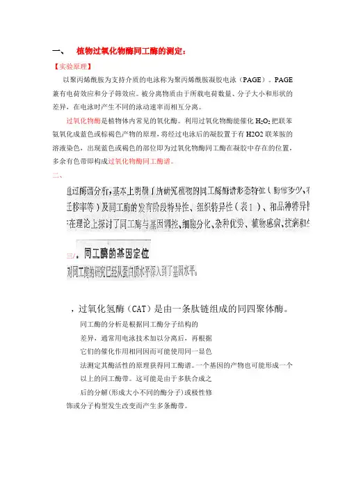 同工酶分析自材料