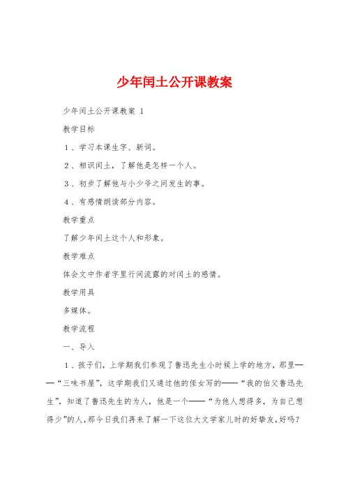 少年闰土公开课教案