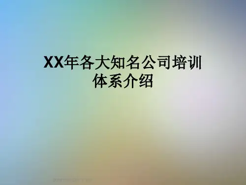 XX年各大知名公司培训体系介绍