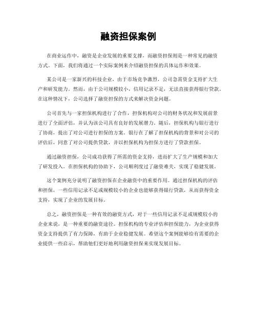 融资担保案例
