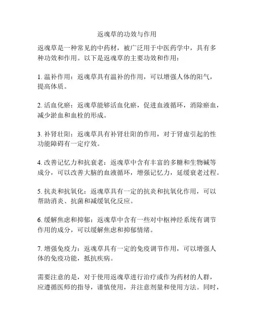 返魂草的功效与作用