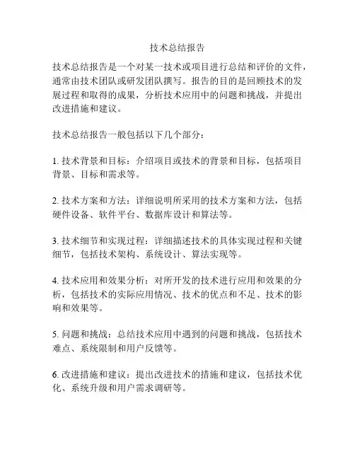 技术总结报告