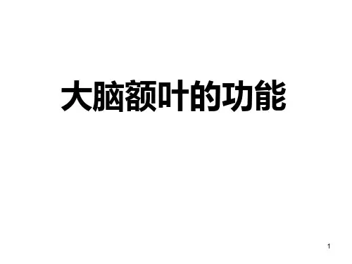 大脑额叶的功能PPT参考幻灯片