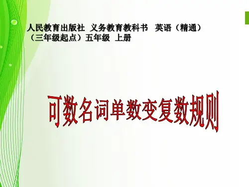 可数名词单数变复数规则PPT课件