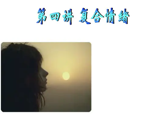 4复合情绪