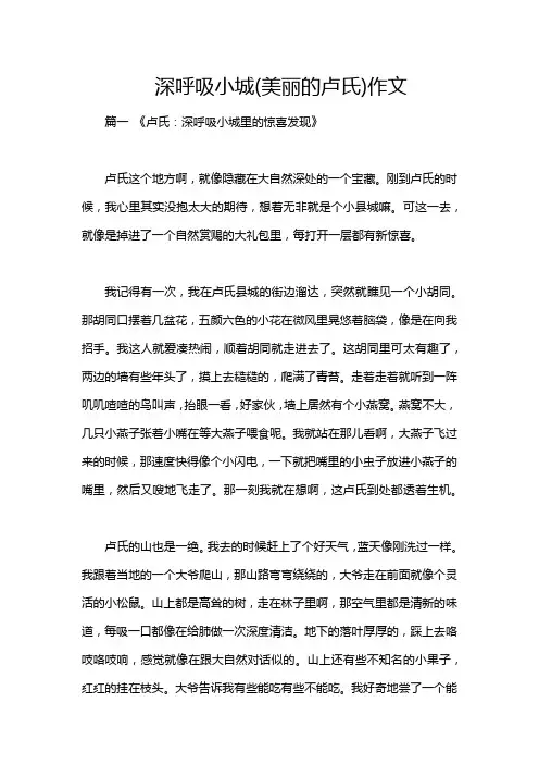 深呼吸小城(美丽的卢氏)作文