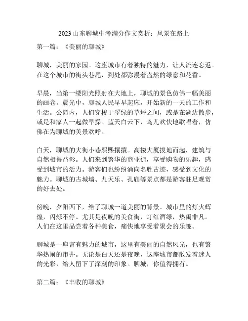 2023山东聊城中考满分作文赏析：风景在路上