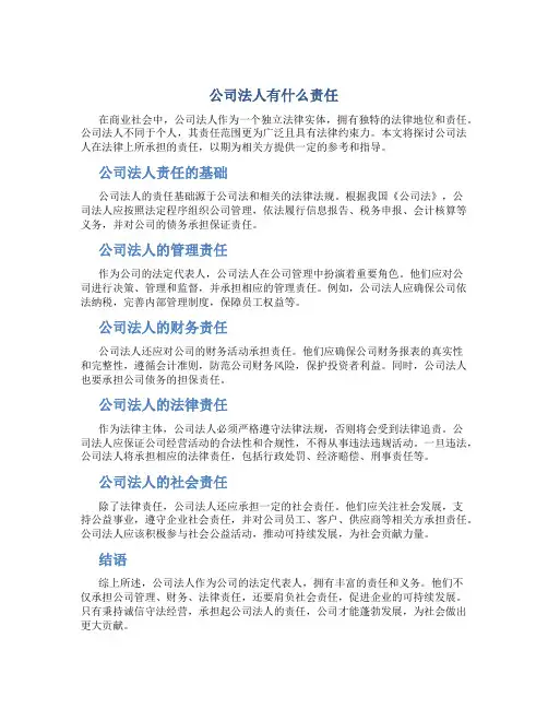 公司法人有什么责任