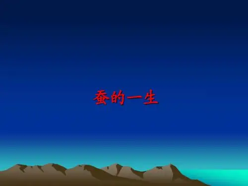 蚕的一生