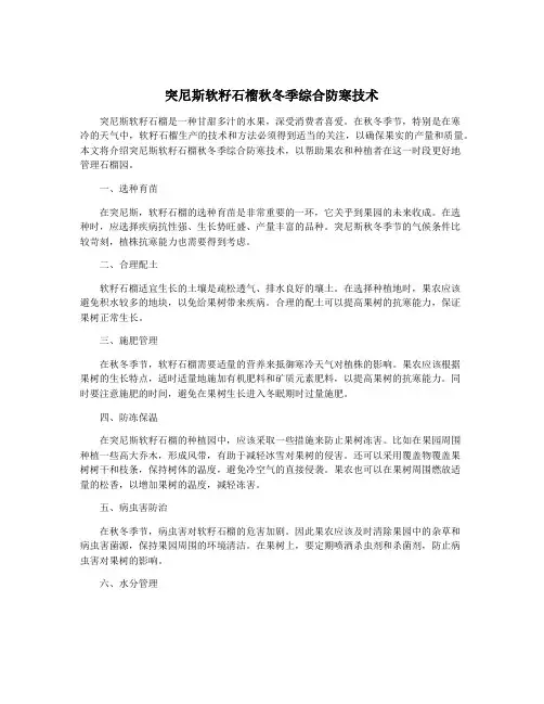 突尼斯软籽石榴秋冬季综合防寒技术