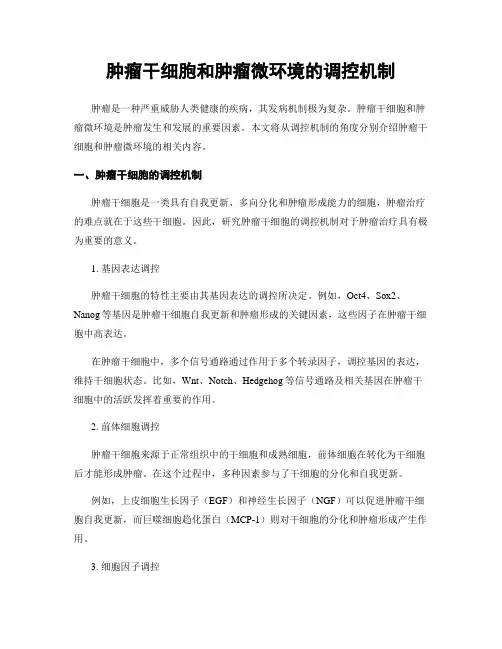 肿瘤干细胞和肿瘤微环境的调控机制
