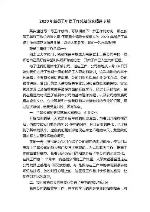 2020年新员工年终工作总结范文精选5篇