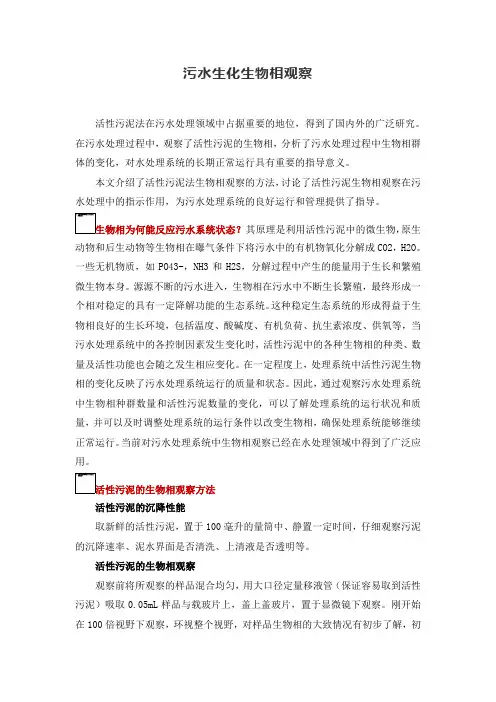 污水生化生物相观察