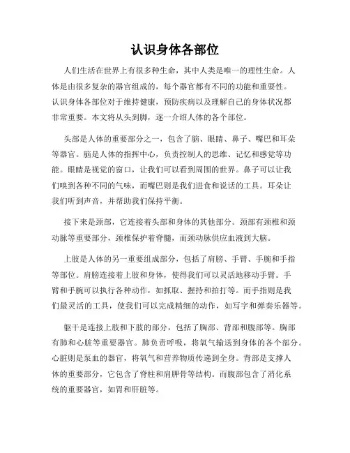 认识身体各部位