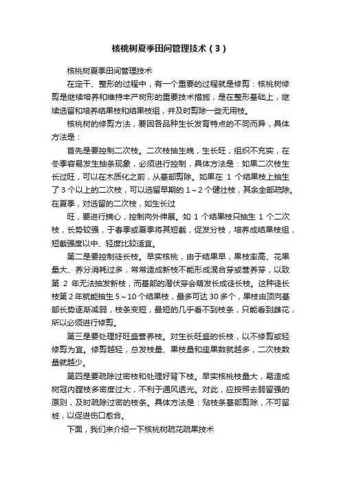 核桃树夏季田间管理技术（3）