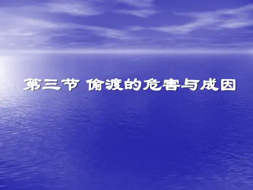 第三节偷渡的危害与成因