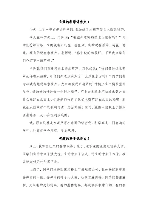 有趣的一节科学课400字范文