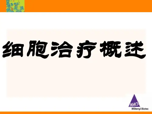 美天旎细胞治疗全线-130723