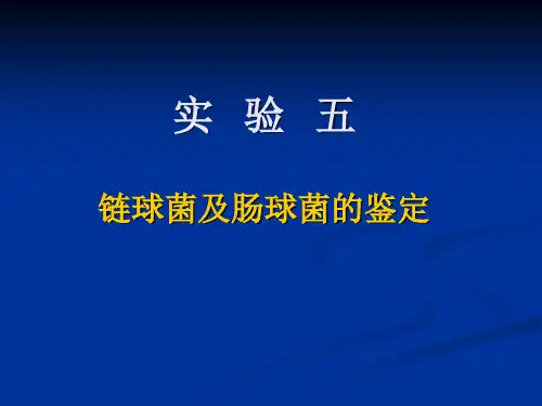 链球菌肠球菌PPT课件
