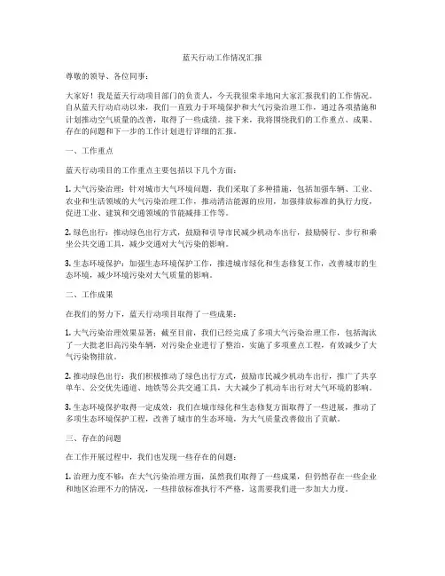 蓝天行动工作情况汇报