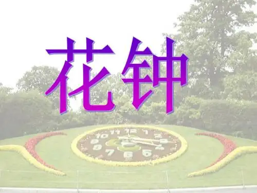 13、花钟(1)