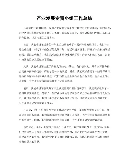 产业发展专责小组工作总结