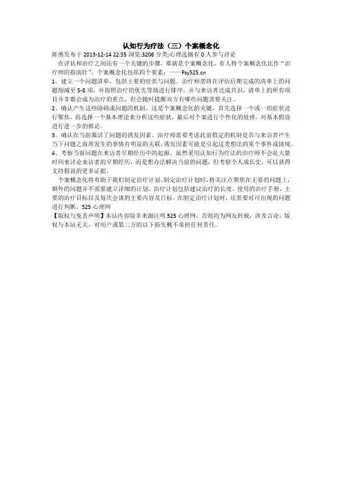 认知行为疗法(三)个案概念化