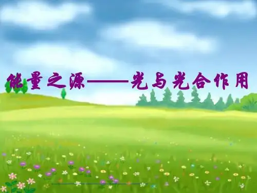 高中生物能量之源——光与光合作用PPT43 人教课标版