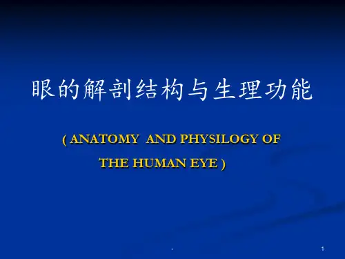 眼的解剖结构与生理功能PPT课件
