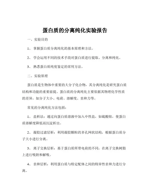 蛋白质的分离纯化实验报告