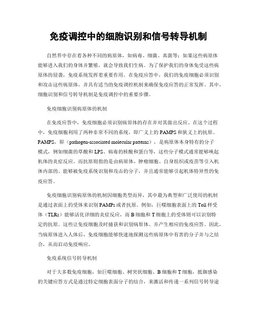 免疫调控中的细胞识别和信号转导机制